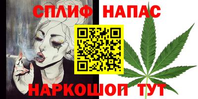 сатива Краснознаменск