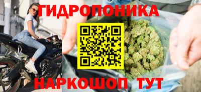сатива Краснознаменск